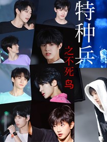 TF三代：特种兵之不死鸟