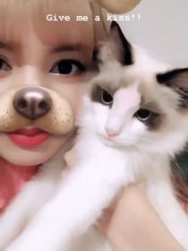 JENLISA：捡了只猫