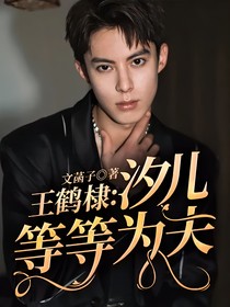 王鶴棣：汐兒，等等為夫