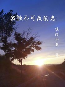 我触不可及的光