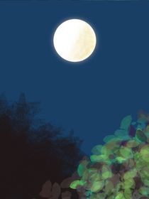 环忘