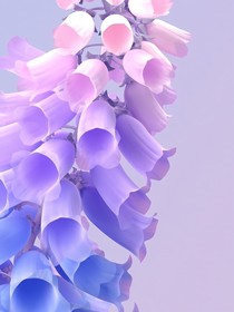 凹凸：花繁