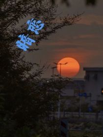 暗戀——不求答案
