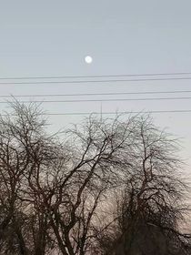 秦霄贤：卿卿我心