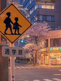 青梅也有人爱