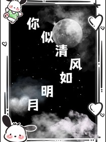 你似清风如明月