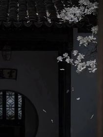 结晶之花，幻境之声