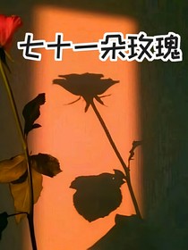 七十一朵玫瑰