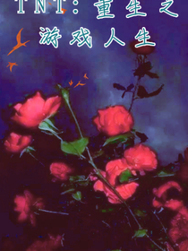 TNT：重生之游戏人生