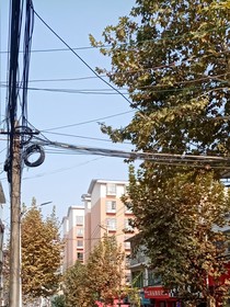 小花店