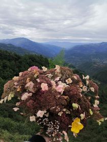 我们的生活2……0