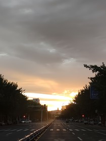 陳末的幾年青春