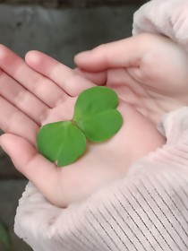 我和我的男朋友的聊天記錄
