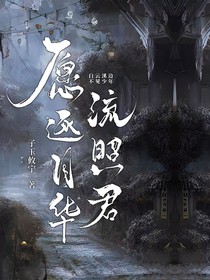 愿與月華流照君