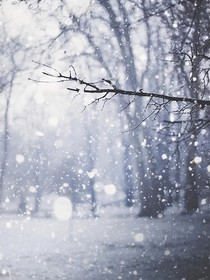 永恒的冬日