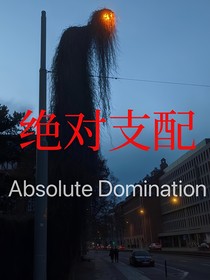 绝对支配