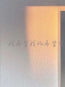 你是盛夏的歡喜