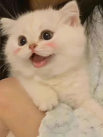 吃顆糖果吧