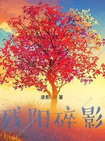 残阳碎影