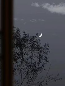 和愿