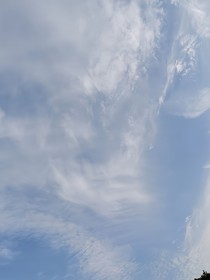 只存在一个我的世界
