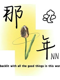 那年NN