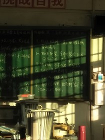 雙數