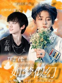 TF三代：如梦似幻