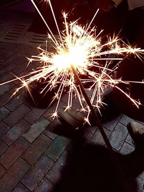 善变：恋爱脑与海狗的爱情