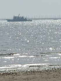 遥远的海洋