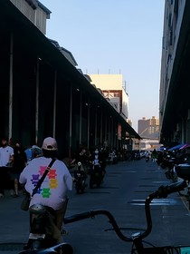 種下一棵愿望樹