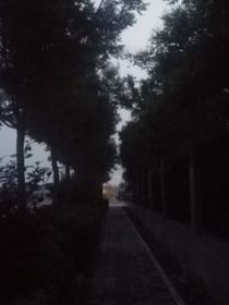 相輔相救
