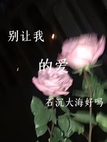 别让我的爱石沉大海