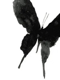 死蝶