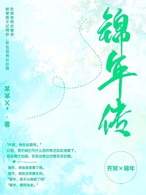 锦年传