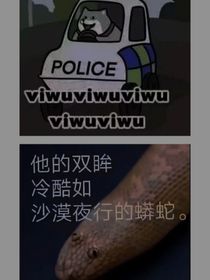 狗作者别抄我书名！