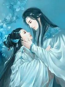 穿越時(shí)空之絕色小王妃