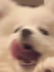 姐妺日常