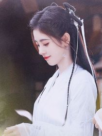 夏雛菊之旅