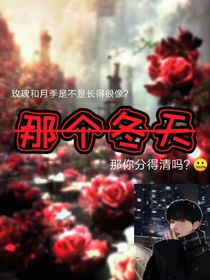 —那個冬天