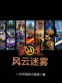 武战道：风云迷雾