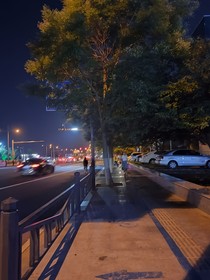 忘不下的回忆
