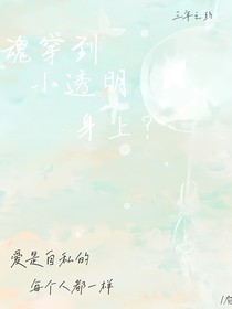 魂穿到小透明身上？