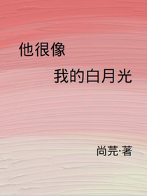 他很像我的白月光