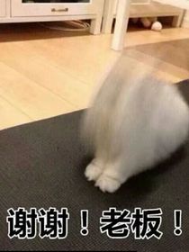 沒想好叫啥名子