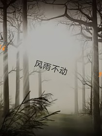 风雨不动