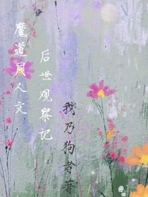魔道一后世观察记