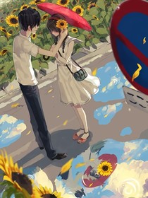 向阳雨晴