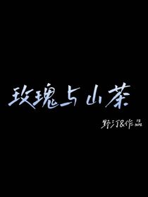 玫瑰与山茶