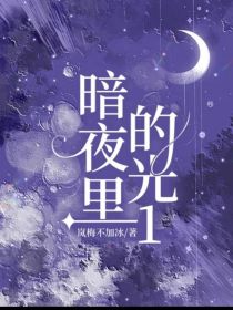 暗夜里的光1